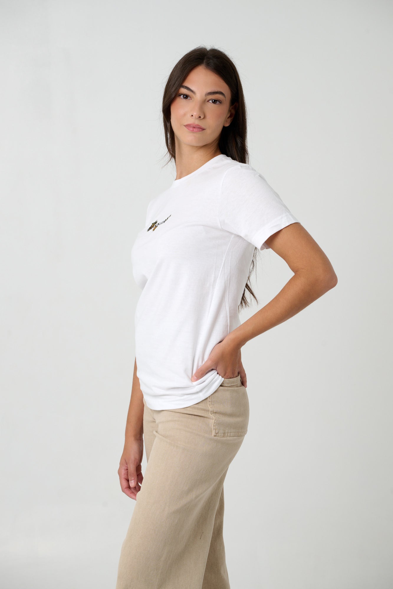 MAISAN SIDQ- Emblema