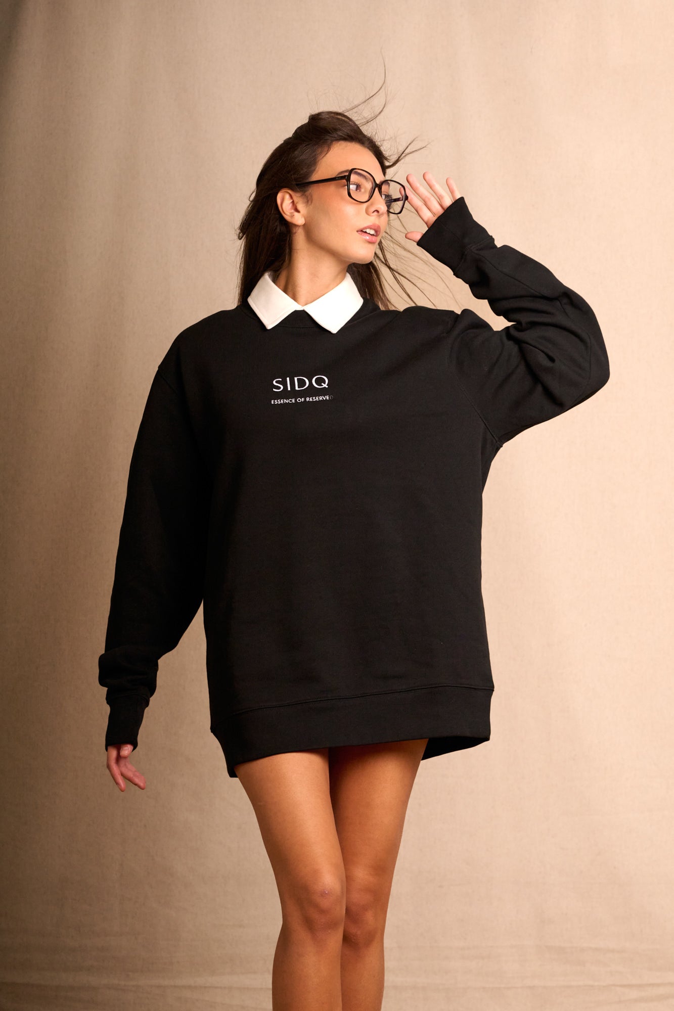SIDQ Sweatshirt